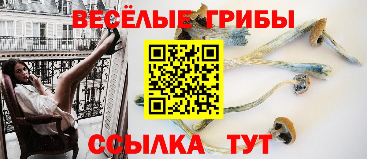 Псилоцибиновые грибы мухоморы Усинск