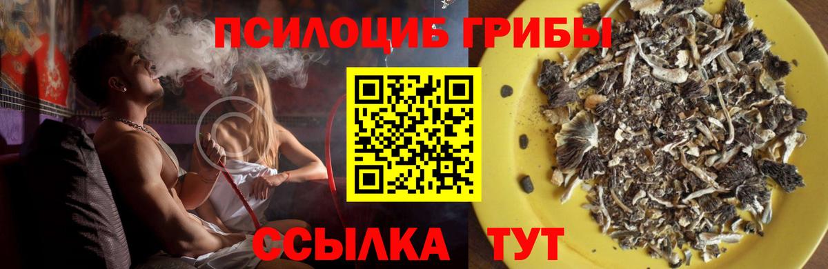 Галлюциногенные грибы Psilocybine cubensis  Вход с VPN  Усинск 
